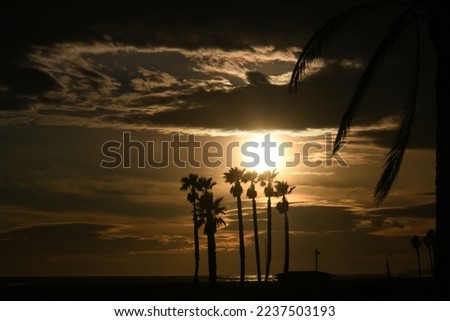 Similar – Venice Beach