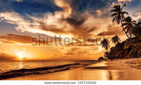 Sunset on the beach. Paradise\
beach. Tropical paradise, white sand, beach, palm trees and clear\
water.