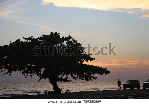 Sunset on a beach with silhouettes of tree,\
automobile and persons. Calm water and sweet colors compose a nice\
picture. The picture has been taken in Libreville Gabon on may 2017\
at the end of the day