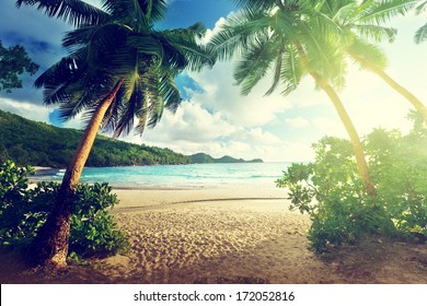 sunset on the beach Takamaka, Mahe island, Seychelles - Shutterstock ID 172052816