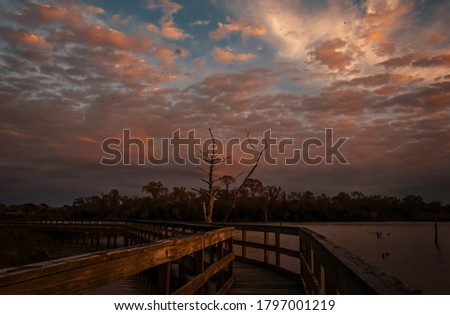 Sunset on the boardwalk over Armand Bayou at Bay Area park Pasadena Texas.
