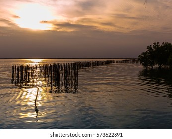 Sunset On Brackish Water