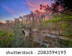 Sunset on the Cliff Trail at Koomer Ridge Campground at Red River Gorge, KY.