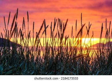 Sunset on the coast of the Arctic Ocean near the village of Teriberka, Murmansk region, Russia - Shutterstock ID 2184173533