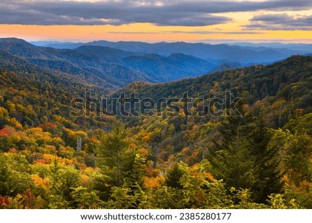 Sunset on a colorful Fall evening on Newfound Gap Road in Smoky Mountains  National Park Tennessee