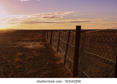 Sunset On The Dingo Fence, Central Australia