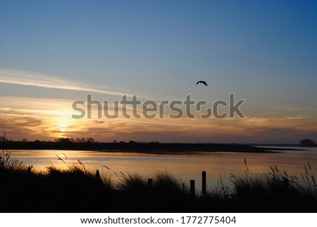 Sunset on Eureka, California's Pacific coast on Humboldt Bay. Bird flying. Humboldt Bay stretches from the sloughs and creeks at Arcata Marsh to the Humboldt Bay National Wildlife Refuge at Loleta. 