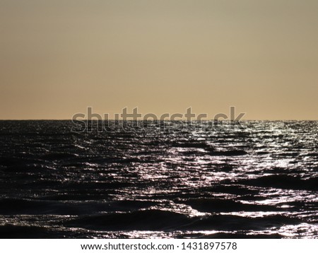 Similar – seagulls at sunset in the mudflats.