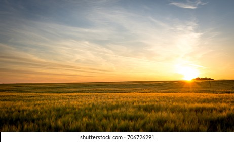 Sunset on the field - Powered by Shutterstock