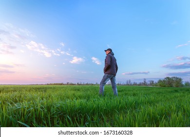 sunset on a field of young wheat / a man standing on a lol looks at the sunset - Powered by Shutterstock