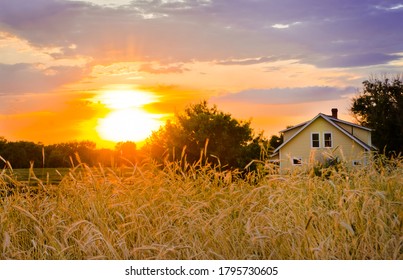 Sunset on the Homestead with wheat field waving - Powered by Shutterstock