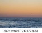 sunset on hossegor beach 2