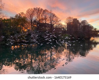 Sunset On Lady Bird Lake Austin Texas