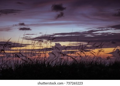 Sunset On Longboat Key