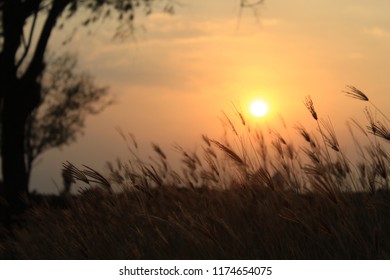 Sunset On The Marina Beach Of The City Of Semarang Indonesia