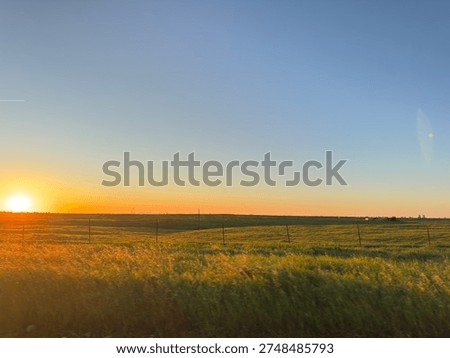 Sunset on the open field