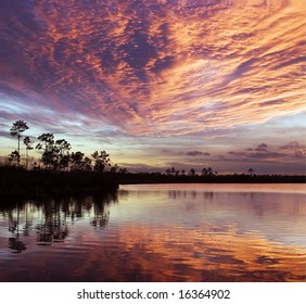 Sunset On Pine Lake, Florida Everglades NP