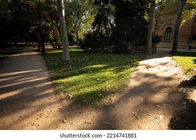 Sunset On Retiro Park, Madrid Spain