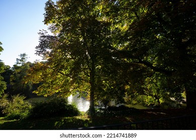 Sunset On Retiro Park, Madrid Spain