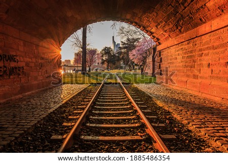 Sunset on the river Main. Red brick tunnel with an old railroad track. High-rise buildings from the financial district. Park in Frankfurt with trees and meadow