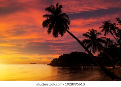 Sunset on the shore of tropical sea. Summer vacation on tropical resort