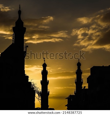 Similar – Dresden im Frühling