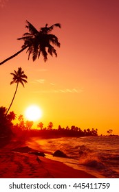 Sunset on tropical beach with big sun circle over the horizon and palm trees silhouettes
