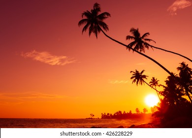 Sunset on tropical beach with palm trees silhouettes and shining sun circle