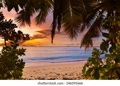 Sunset on tropical beach - Seychelles - nature background