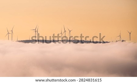 Sunset on the wind is electrifying.