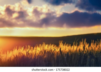 Sunset In The Open Country-focus With Shallow Depth Of Field