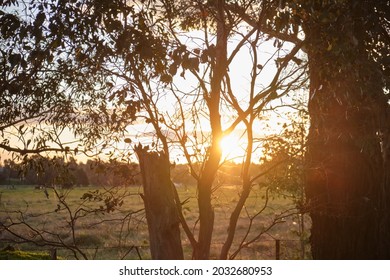 sunset at a open field
