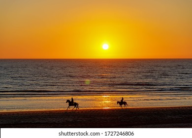 Sunset with orange sky and the sun above sea level, Dutch north sea coast in evening during the sun going down, Silhouette two horse riders ride along the sand beach with golden sunlight, Netherlands. - Powered by Shutterstock