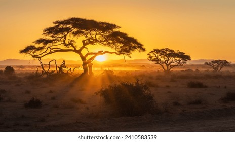 sunset over the african savanna in kenya - Powered by Shutterstock