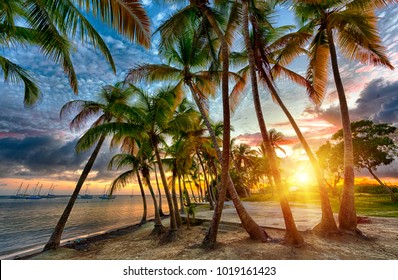 Imágenes Fotos De Stock Y Vectores Sobre Guadeloupe Plages