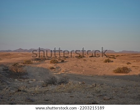 sunset over the arid landscape of the Kaokoveld near the skeleton coast in Namibia Africa