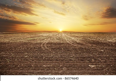 Sunset Over Autumn Field. Ukraine