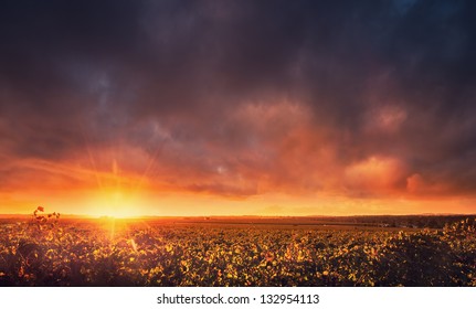 Sunset Over The Barossa Valley, South Australia