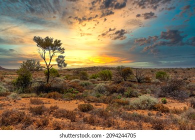 Sunset over a beautiful Australian outback landscape with bushes and a tree against the background with the warm colors of a real Outback sunset - Shutterstock ID 2094244705