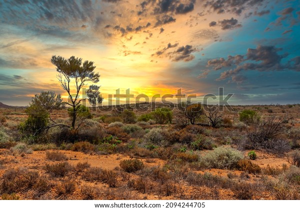 Sunset over a beautiful Australian outback\
landscape with bushes and a tree against the background with the\
warm colors of a real Outback\
sunset