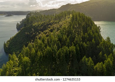 Sunset Over Blue And Green Lakes Rotorua Redwood Trees, Aerial View