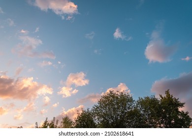 Sunset Over Blue Sky And Treetops.