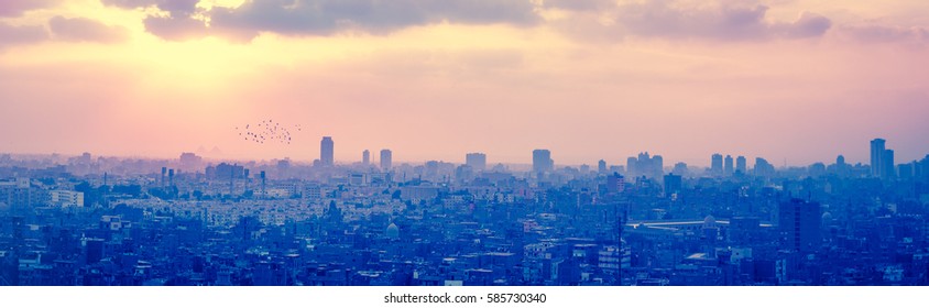 Sunset over Cairo with silhouettes of flying birds and Egyptian pyramids on a horizon. Mystical cityscape of Egypt - panorama of modern Cairo with flocks of pigeons flying in rays at sundown.