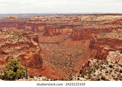 Sunset over canyons, Canyonlands National Park, Moab, Utah. - Powered by Shutterstock