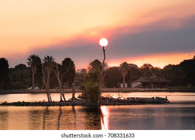 Sunset Over The Centennial Park, Sydney