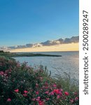 Sunset over Chesapeake Bay in Cape Charles, with the sky glowing in warm colors, calm waters reflecting the serene scene, and vibrant pink flowers adding a touch of natural beauty to the view.