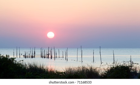 Sunset Over The Chesapeake Bay Revealing Birds Resting On Logs Holding Fish Nets Hanging Into The Water.