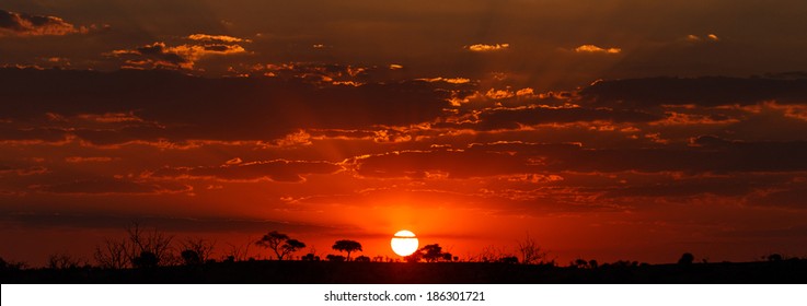 Sunset Over The Chobe National Park, Botswana, Africa