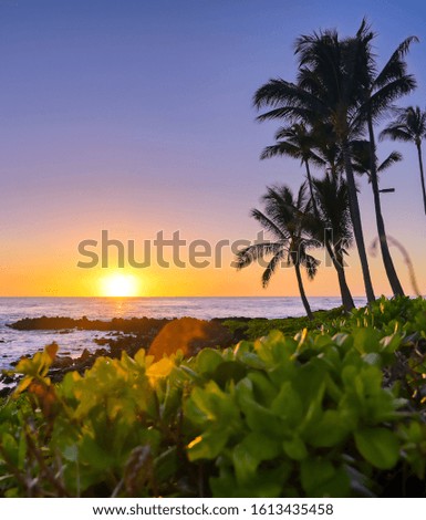 Similar – Image, Stock Photo Sunset over sea