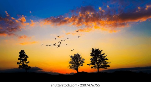 sunset over the colorful forest - Powered by Shutterstock
